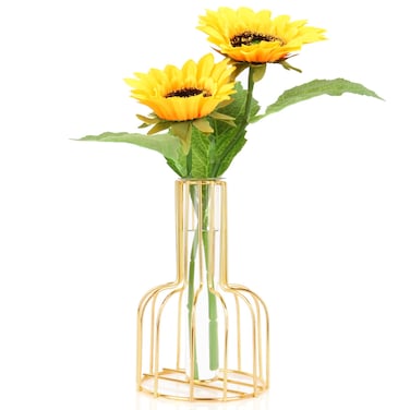 Modern Home Decor Black Glass vase,Iron Art Vase,Test Tube Vase for Hydroponic Plant,Geometric Terrarium vase for Home Kitchen Office Table Top Decor Bookshelf Decorative Objects (Gold)