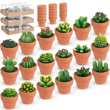 Treela 18 Pcs Succulent Cactus Tealight Candles Handmade Tea Lights Baby Shower Plant Candle Gift with Mini Terracotta Clay Candle Holders for Home Birthday Christmas Wedding Party(Classic)