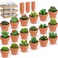 Treela 18 Pcs Succulent Cactus Tealight Candles Handmade Tea Lights Baby Shower Plant Candle Gift with Mini Terracotta Clay Candle Holders for Home Birthday Christmas Wedding Party(Classic)