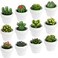 12 Pieces Succulent Candles Novelty Handmade Cactus Tealight Candle Delicate Stylish Plant Candle Mini Cactus Candles for Party Favors Baby Shower Decorations Wedding Gifts Birthday (Cute Style)