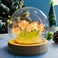 (20 Flower) Assembled Tulip Lamp Night Light with Glass Dome, Cool Handmade Artificial Flower Table Lamp Bedroom Desk Decoration for Women Girlfriend Sister Besties Birthday Gift Unique (Pink)