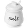 ONTUBE Ceramic Salt Bowl with Lid and Spoon 12oz (White)