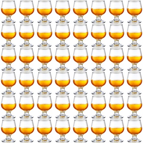 Qunclay 48 Pcs Shot Glasses Shot Glass Cute Cognac Glasses Small Brandy Snifter for Tasting Brandy Drinking Port Glasses for Whiskey Brandy Wine Beer (5oz)