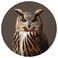 Screen Door Magnets - Patch Small Holes &amp; Keep People and Pets from Running Into Screen Doors with Magnetic Screen Door Savers - Made in USA - Owl - 6 x 6 inches - Pack of 2 (1 Pair)