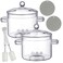 Tioncy 2 Pcs Clear Glass Pots for Cooking on Stove 1.3 L 44 oz Glass Saucepan with Lid Handle Simmer Pot Handmade Cookware Borosilicate Glass Cooking Pot with Brushes and Silicone Mats (Modern)
