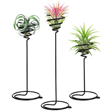 Mipcase 3pcs Flower Stand Air Plants Holders Plant Rack Large Indoor Plant Plant Display Holder House Plants Air Plant Holder Plant Holders Straight Hair Small Container Metal