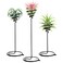 Mipcase 3pcs Flower Stand Air Plants Holders Plant Rack Large Indoor Plant Plant Display Holder House Plants Air Plant Holder Plant Holders Straight Hair Small Container Metal