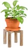 Red Co. 6&acirc;&euro; Decorative Distressed Wood Cross Leg Pedestal Plant Stand Holder, Natural Brown