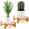 Pumtus 2 Pack Bamboo Plant Stand, Mid Century Modern Planter Stand, Detachable Flower Pot Holder, Sturdy Potted Plant Rack for Indoor Outdoor Garden Home, Fits Up to 8 Inch Planter (Pot Not Included)