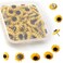 40 PCS Sunflower Push Pins Thumb Tack Cork Flower Cork Board Tacks for Photos Board Wall Maps D&Atilde;&copy;cor Office