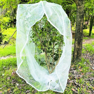 BKDMZZMY Garden Netting with Drawstring and Zipper, 5.9x6.6FT Plant Cover Net Bag Row Cover Barrier Protection Net for Birds Animals, Garden Mesh Cover for Tree Flower Fruit Crop (1 Pack)