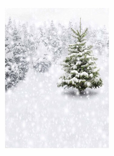 Allenjoy 6x8ft Christmas Eve Winter Snowy Backdrop Party Supplies for Xmas New Year Decorations Children 1st First Birthday Baby Shower Photo Booth Shoot Studio Portrait Prop Photoshoot Favors