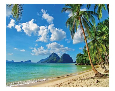 Funnytree 10x8ft Summer Tropical Beach Backdrop Seaside Island Palm Trees Photography Background Blue Sea Sky Luau Themed Party Decorations Photo Booth Studio Props