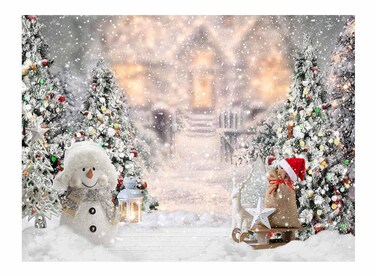 Allenjoy 8x6ft Winter Christmas Backdrop for Photography Snowman Pine Tree Snowflake Portrait White Background Newborn 1st Birthday Children Baby Shower Party Decorations Photo Shoot Props Supplies