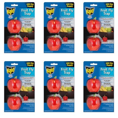 Raid Fruit Fly Trap Bundle Fruit Fly Traps for Kitchen, Fly Trap Indoor Use, Fly Traps, Fly Killer, Fly Catcher for Food Prep Areas, Gnat Trap Indoor Use (6 Pack)' (6 Pack, 12 Total Traps)