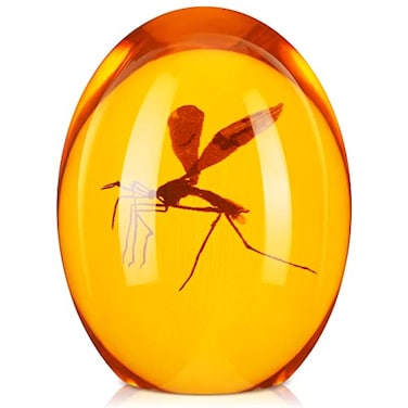Qunclay Mosquito in Amber Resin Prop Replica Mosquito Collectible Paper Weight 2D Mosquito Amber Collection Flat Bottom Resin Paperweight for Decor