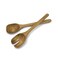 WONDERFUL 12 Inches Acacia Wood Salad Server Set for Mixing and Serving, Long Handle Salad Tongs, Fork, and Spoon for Tossing and Cooking (Dark Acacia Wood)