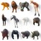 12Pcs Half-Body Animal Magnets Playful Peek-a-Boo Fun with Adorable Creatures for Your Fridge Magnets for Kids and Aldult