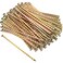 Sadnyy 100 Pcs Artificial Turf Stakes Galvanized Metal Spiral Landscape Stakes Garden Edging Spikes Lawn Edging Ground Stakes for Outdoor Tent Grass Paver Carpentry Weed Barrier(8 Inch)
