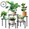 Amaoot 5 Pack Metal Plant Stand, Anti-Rust Iron Plant Stands for Indoor and Outdoor, Heavy Duty Flower Pot Stands for Multiple Plant, Black Potted Plant Holder for Garden Home (5 Pack Black)