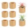 Bigmeta Set of 6 Wood Air Plant Holder- Rustic Style Air Plant Pots Indoor Decorative Air Plants Display Containers Table Centerpiece for Home Office Tabletop Decor Supplies Gifts(Internal Dia 1.2")