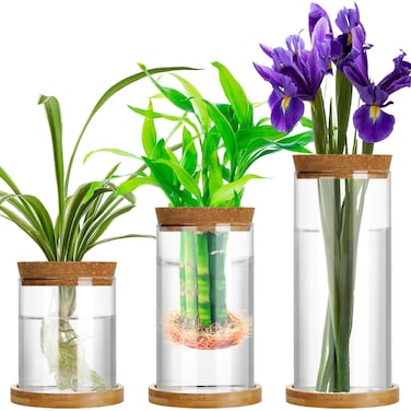 Maxcheck 3 Pcs 3 Sizes Plant Propagation Station Separated Glass Plant Terrarium Water Hydroponic Planter Holder with Lid and Wooden Stand Propagation Vase Pot for Home Indoor Office(Various Sizes)
