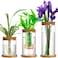 Maxcheck 3 Pcs 3 Sizes Plant Propagation Station Separated Glass Plant Terrarium Water Hydroponic Planter Holder with Lid and Wooden Stand Propagation Vase Pot for Home Indoor Office(Various Sizes)