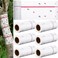 Qualirey 6 Rolls Spotted Lantern Fly Traps 30 Feet Each Roll Fly Tree Trap Sticky Fly Strips Outdoor Fruit Fly Glue Trap Disposable Fly Tree Tape Indoor Fly Paper Sheets for Protecting Trees (White)