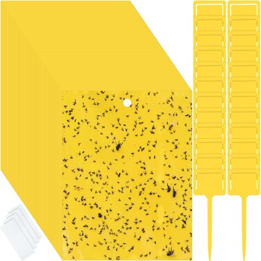 Qualirey 250 Pcs 6 x 8 Inch Sticky Traps for Gnats Dual Sided Fruit Fly Sticky Traps for Indoor and Outdoor Plant with Twist Ties and Plastic Holders for Flying Plant Insect, Fungus Gnats (Yellow)