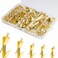 202 PCS Frame Hanger Kit, 10lb, 20lb, 30lb, 50lb&amp;100lb Picture Hanging Hardware Kit, Picture Hanging Tool, Pcture Hangers,Picture Frame Hanging Kit, Picture Hooks for Pictures, Canvas, Mirror (Gold1)