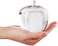 H&amp;D HYALINE &amp; DORA Crystal Glass Apple Paperweight (Clear)