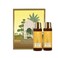 Forest Essentials Luxury Bath &amp; Body Gift Set   Honey Vanilla Scented   Body Wash and Body Lotion