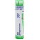 Boiron Kali Phosphoricum 30X Md 80 Pellets for tension headaches associated with intellectual fatigue