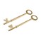 Skeleton Key BRS 2PK