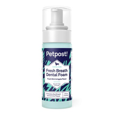 Petpost   Fresh Breath Foam for Dogs - Mint &amp; Apple Flavored Dental Solution That Eliminates Bad Breath - Natural Tooth Cleaning Treatment 5 oz.