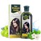 Dabur Brahmi Amla Hair Oil - Natural Moisturizing, Strengthening &amp; Hair Oil Elixir for Healthy Scalp, Nourishing Hair Oil for Soft, Manageable, &amp; Smooth Hair From Root to Tip - 200 ML (6.76 fl oz)