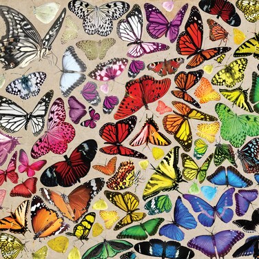 Buffalo Games - Butterfly Chroma - 300 Large Piece Jigsaw Puzzle
