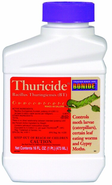 Bonide Thuricide BT Concentrate, 16 oz Ready-to-Mix Solution for Caterpillar, Worm and Moth Control in Home Garden