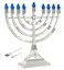 Zion Judaica 12" Chanukah Menorah with Flame Shaped LED Bulbs Electric Menorah USB Powered or Batteries Electronic Minorah - 4' Cable Included Hanukkah Battery Menorahs Silver