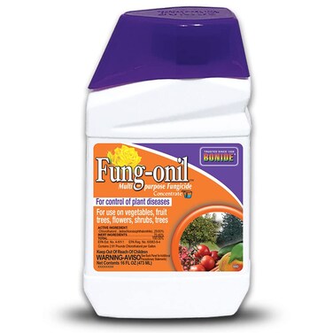 Bonide Fung-onil Multi-Purpose Fungicide, 16 oz Concentrate for Plant Disease Control, Controls Blight, Mildew &amp; More
