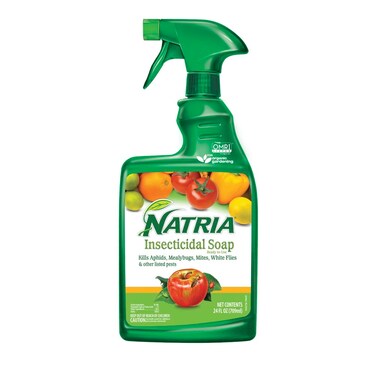 Bayer Advanced Natria Insecticidal Ready To Use Soap, 24 oz