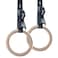 REP Wood 14' Gymnastic Rings with Short Numbered Straps - Perfect for Cross-Training Workouts, Gymnastics and Conditioning - 1.11 inch FIG Specs