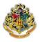 Harry Potter Hogwarts Enamel Pin