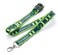 Harry Potter Slytherin Lanyard (One Size) (Green/Silver)