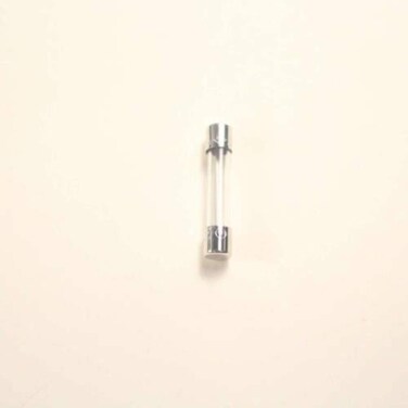 GE WB27X11138 Microwave Fuse