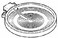 GE WB30T10130 Element HALIANT 12 I