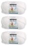 Bernat Baby Blanket Yarn (3-Pack) White 161103-30053