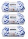 Bernat Pipsqueak Yarn (3-Pack) Blue Jean Swirl 162059-591153