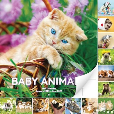 Super Cute 18 Month Baby Animals Wall Calendar 2025-2026. Big 12x12 Inch Novelty Gift With Puppies, Kittens and More. Great for Men, Women or Kids. Perfect Stocking Stuffer or Decor for Animal Lovers.
