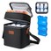 PIIOSER Breastmilk Cooler Bag with Ice Pack Fits 6 Baby Bottles Up to 9 Ounce, Insulated Baby Bottle Tote Bags, Double Layer Waterproof Leak-Proof with Shoulder Strap for Nursing &amp;Working Mom